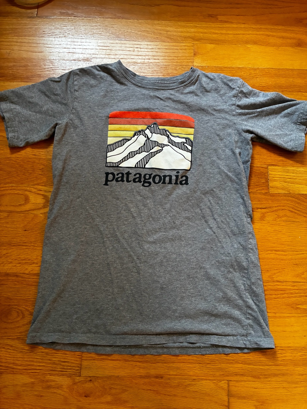 Patagonia Short-Sleeve Tee 14